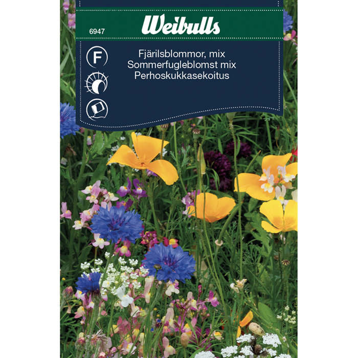 Sommerfugleblomster mix 